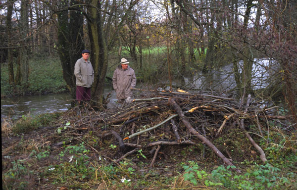 Erwin Theis und Ewald Thomas kontrollieren den Biberbau zwischen Krettnich und Primstal.